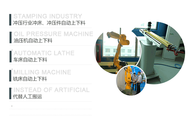 多軸機(jī)械手定制